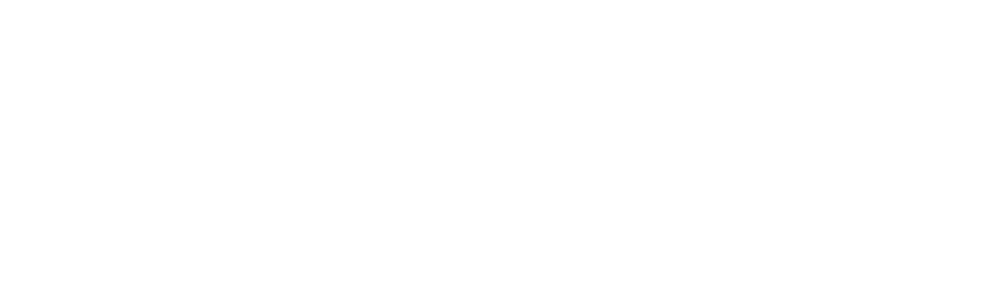 lbn logo